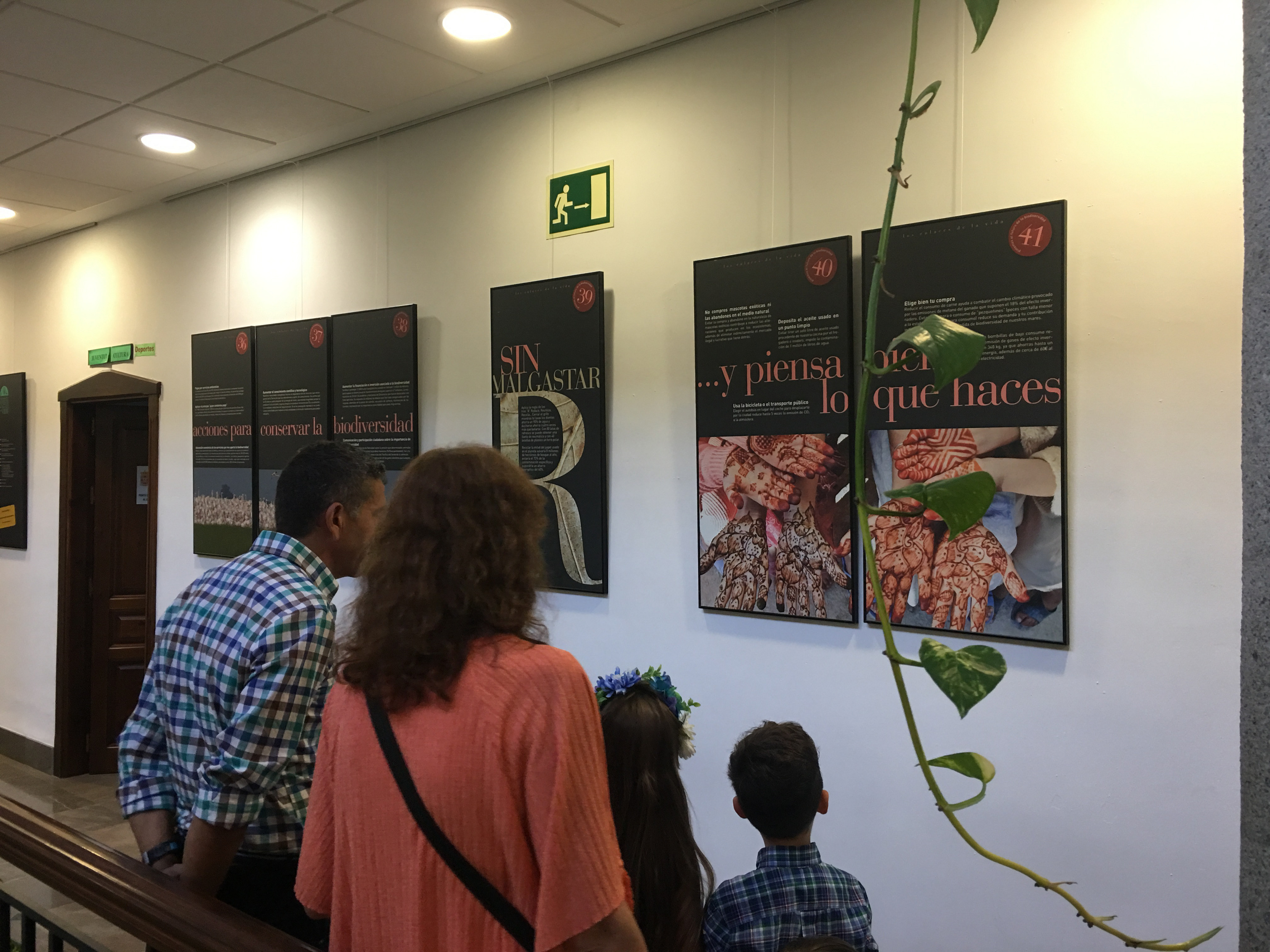 Primeros asistentes a la exposición Biodiversidad en El Padul