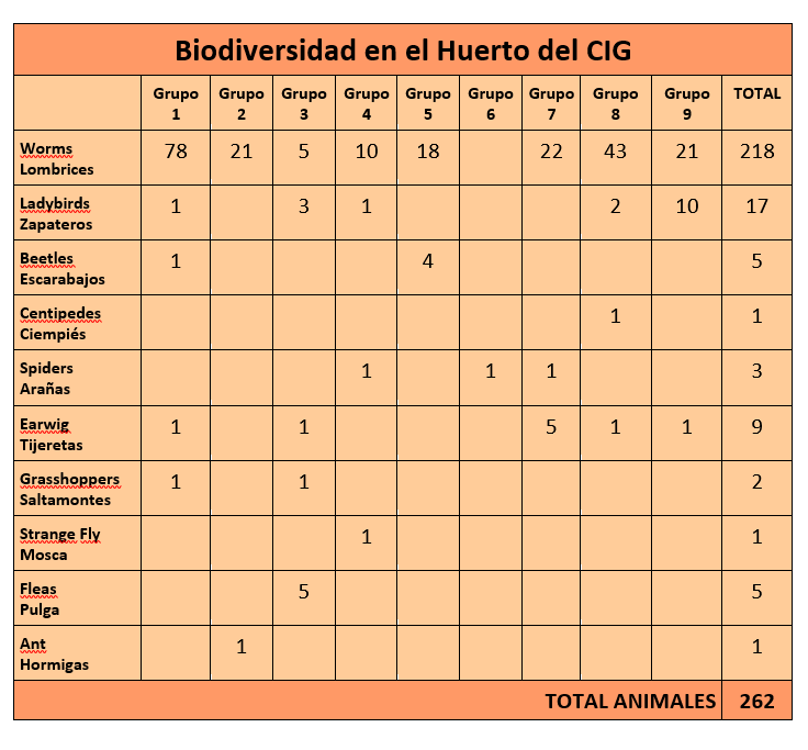 Estos son los resultados de nuestra investigación sobre la biodiversidad en nuestro huerto escolar.