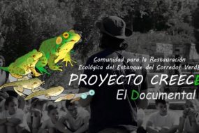 Presentación del documental del proyecto CREECE en la clausura de la VI Feria de la Ciencia de Atarfe