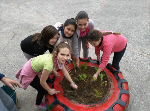 Los escolares cuidan su entorno en el centro educativo con un huerto ecológico