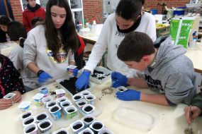 Descubre las mejores prácticas de las iniciativas de ciencia ciudadana participantes en ‘Andalucía, mejor con ciencia’ 2017